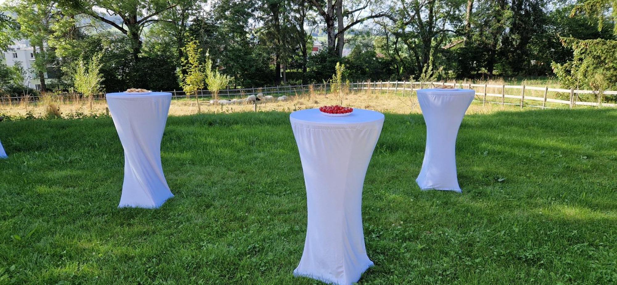 La Ferme Des Aretes Bed & Breakfast La Chaux De Fonds Екстериор снимка